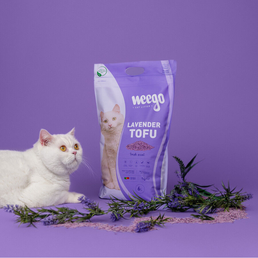 6 L Weego Lavender Tofu Arena aglomerante para gatos, , large Imagen numero 3