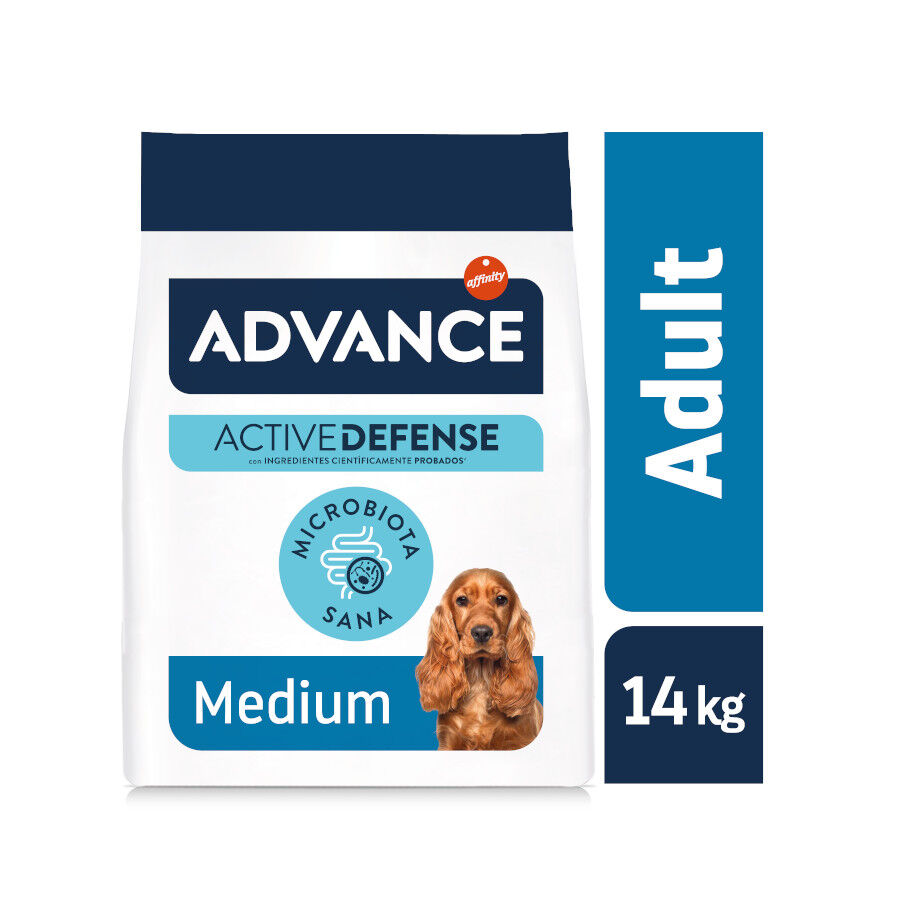 Advance Active Defense Medium Adult Pollo y Arroz pienso para perros thumbnail