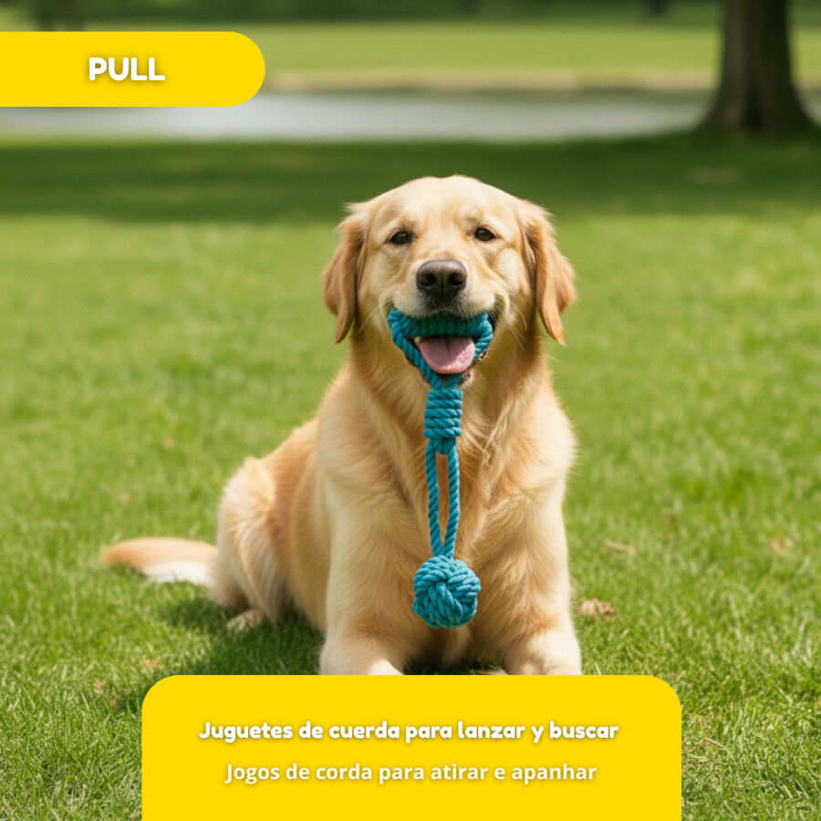 Tootoy! Modedor para Tirar de Cuerda con Pelota Azul para perros, , large Imagen numero 5