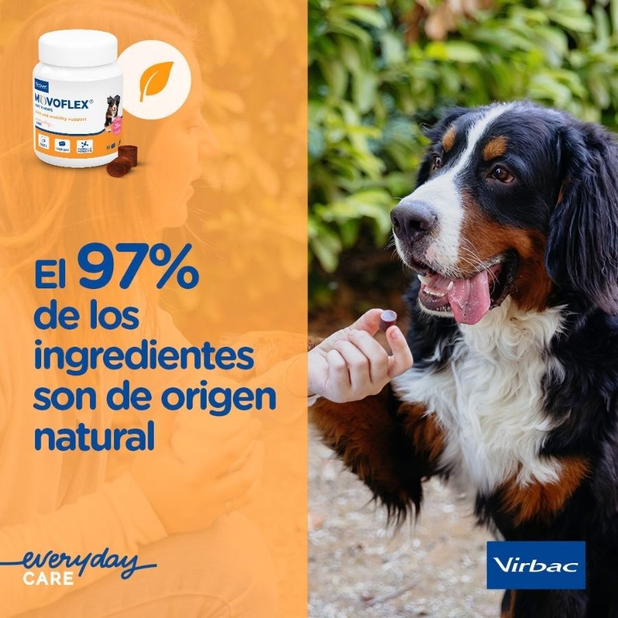 Virbac Movoflex Condroprotector para perros, , large Imagen numero 8