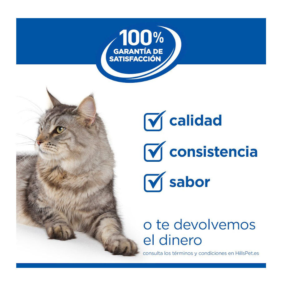 1.5 kg Hill's Adult Science Plan Sensitive Stomach Pollo pienso para gatos, , large Imagen numero 10