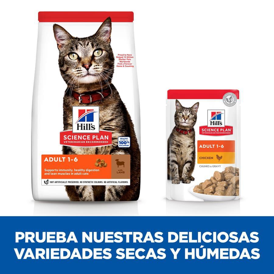 Hill&#039;s Science Plan Adult Cordero pienso para gatos thumbnail