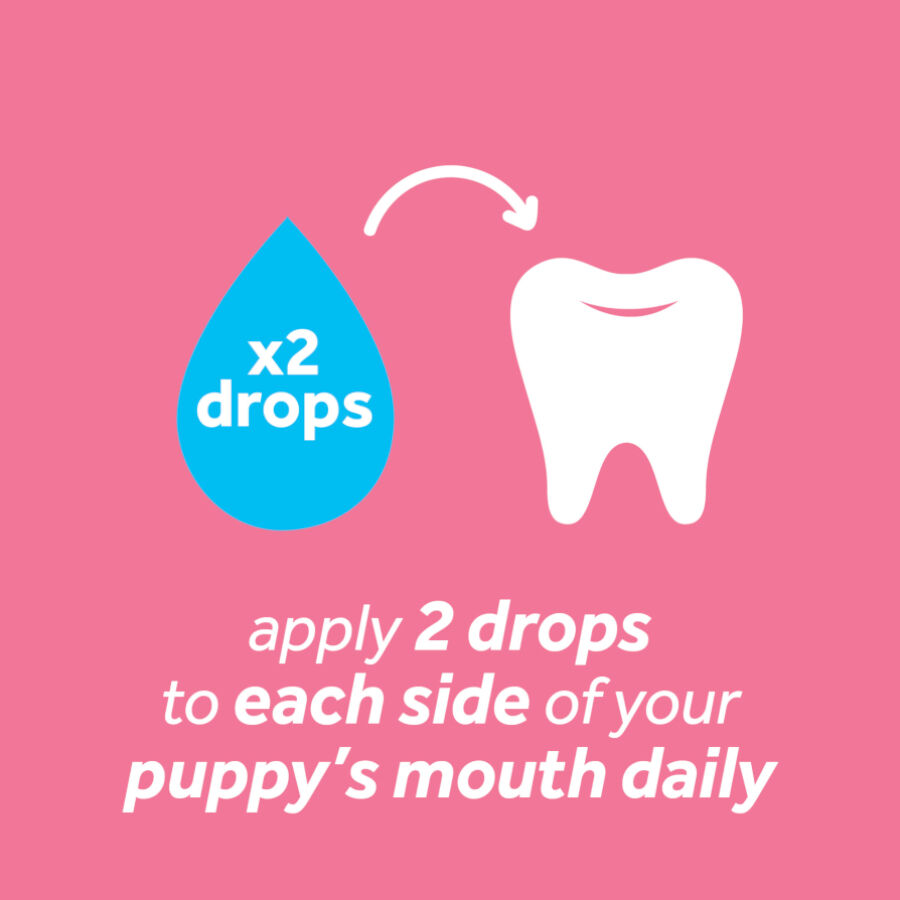 Tropiclean Fresh Breath Gel Oral Menta para cachorros, , large Imagen numero 2