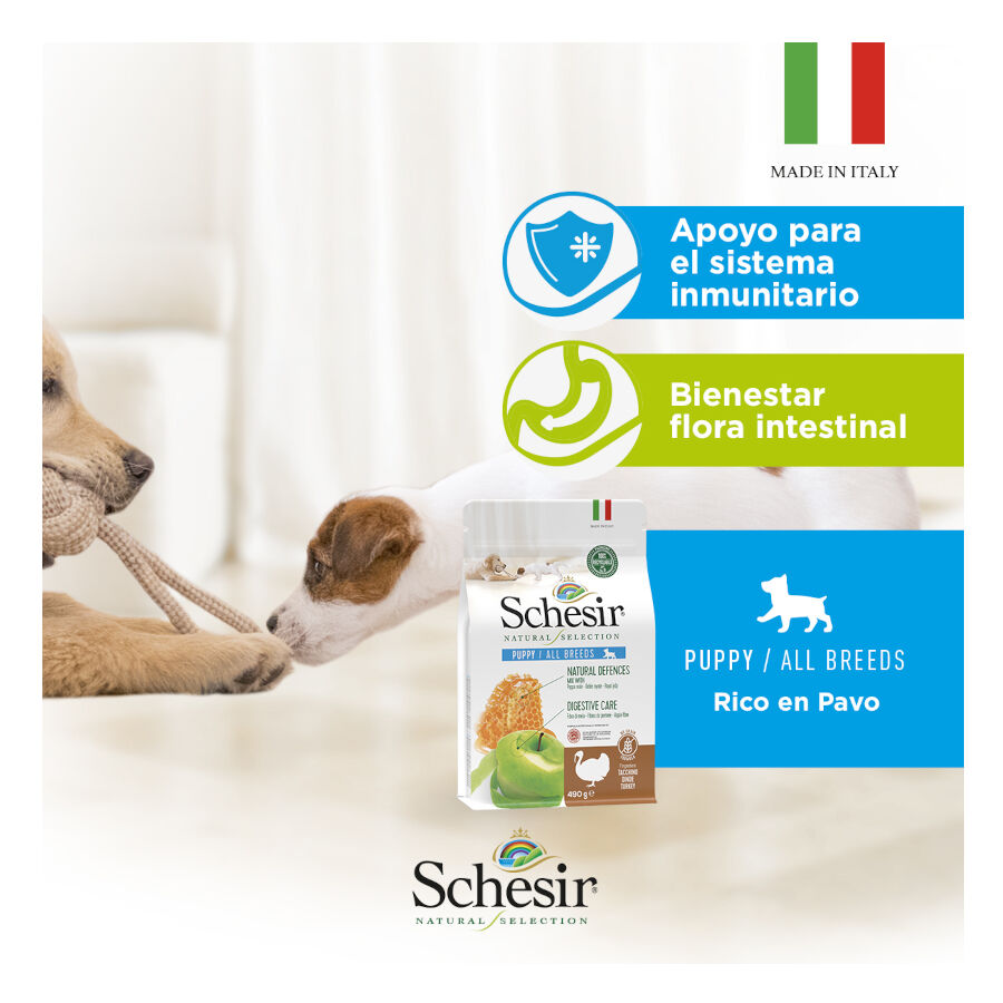 2.24 kg Schesir Puppy Natural Selection Pavo pienso , , large Imagen numero 5