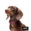 Gotoo Collar estampado cachemira rojo para perros, , large indicador imagen numero 6