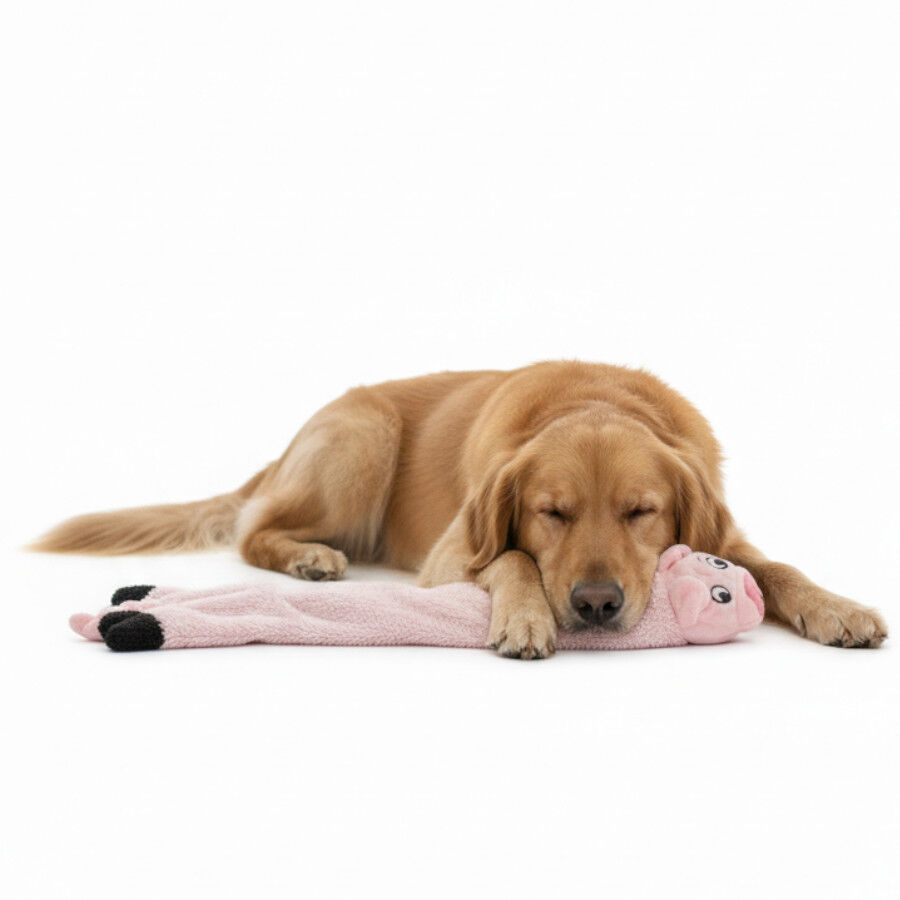 LOVE THE EARTH Peluche Cerdo con Sonido para perros thumbnail