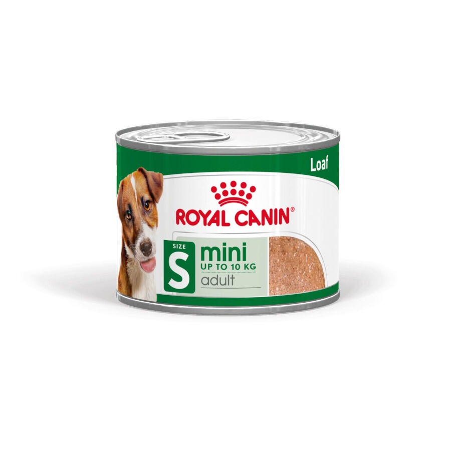 Royal Canin Mini Adult Paté lata para perros thumbnail