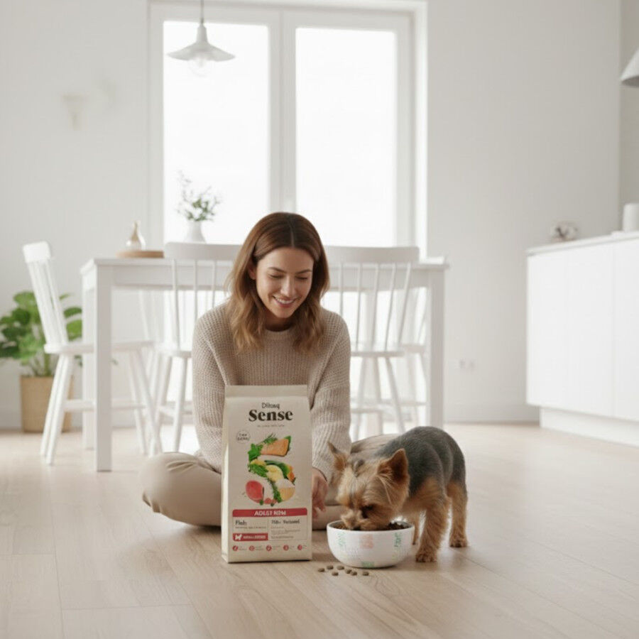 Dubaq Sense Low Grain Ault Mini Pescado Pienso para perros, , large Imagen numero 4