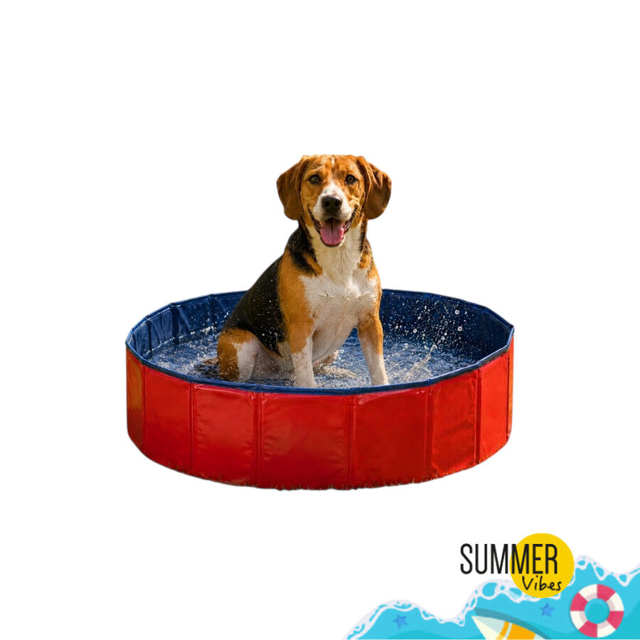 Summer Vibes Piscina Roja para perros, , large Imagen numero 7