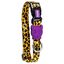 Zeedog Honey Collar multicolor para perros, , large indicador imagen numero 1