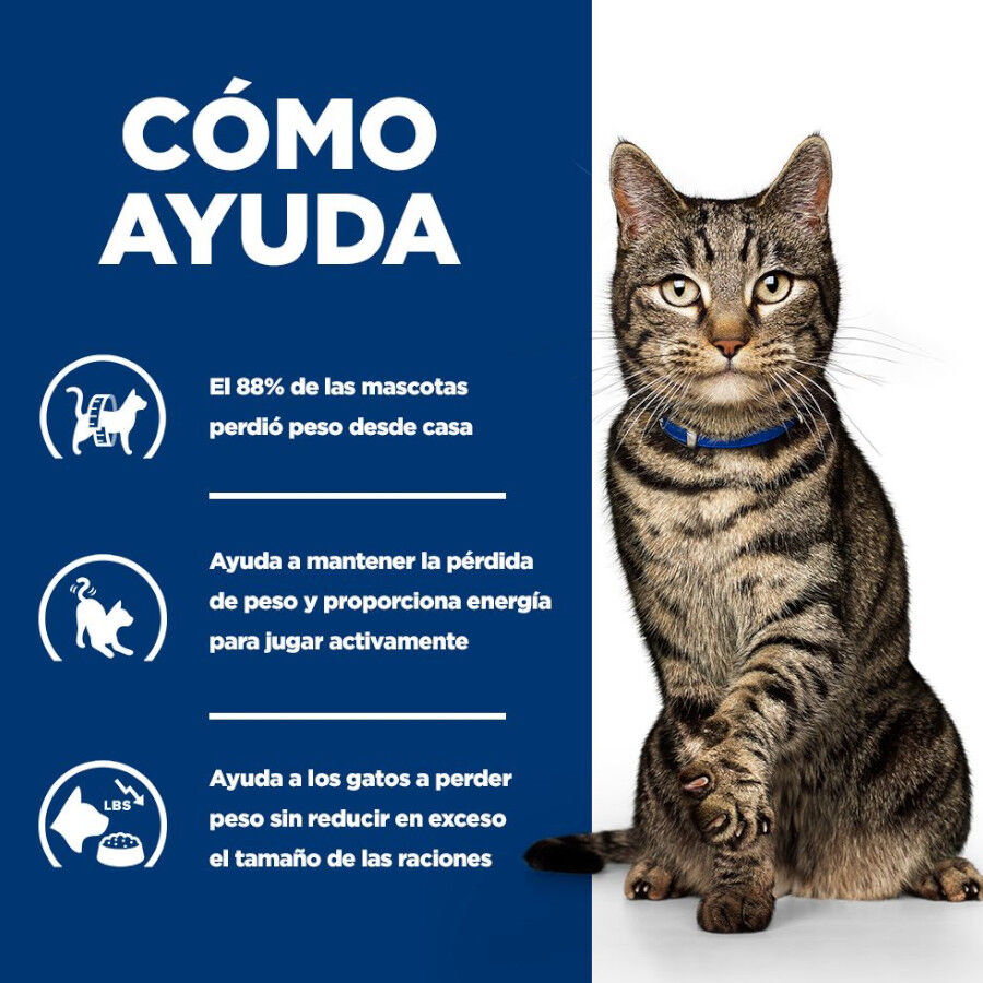 8 kg Hill's Prescription Diet Metabolic Salm&oacute;n pienso para gatos, , large Imagen numero 5