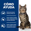 8 kg Hill's Prescription Diet Metabolic Salm&oacute;n pienso para gatos, , large indicador imagen numero 5