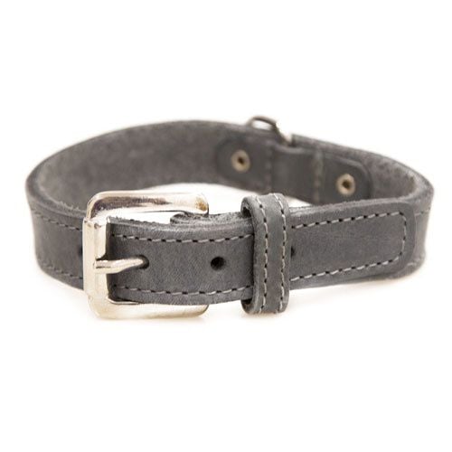TK-Pet Namur gris collar de cuero para perros Imagen numero 1