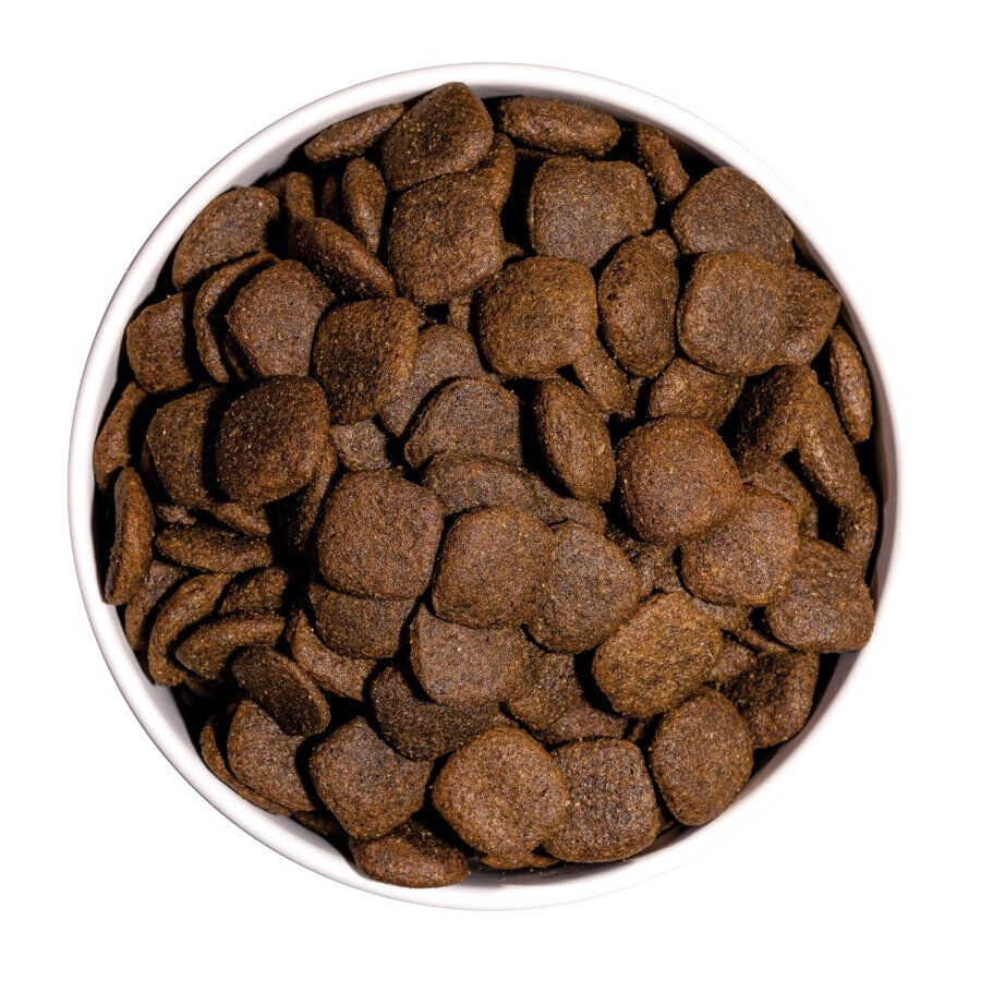 Ownat Maxi Junior Ultra Pollo y Pavo pienso para cachorros thumbnail