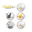 Golden Grey Yuca Arena Aglomerante para gatos, , large indicador imagen numero 4