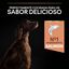 Pro Plan Large Athletic Adult Salmón piel sensible pienso para perros, , large indicador imagen numero 7
