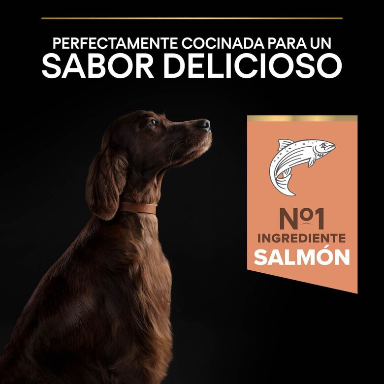 14 kg Pro Plan Large Athletic Adult Salmón piel sensible pienso para perros,  Imagen numero 7 14 kg Pro Plan Large Athletic Adult Salmón piel sensible pienso para perros, , large Imagen numero 7