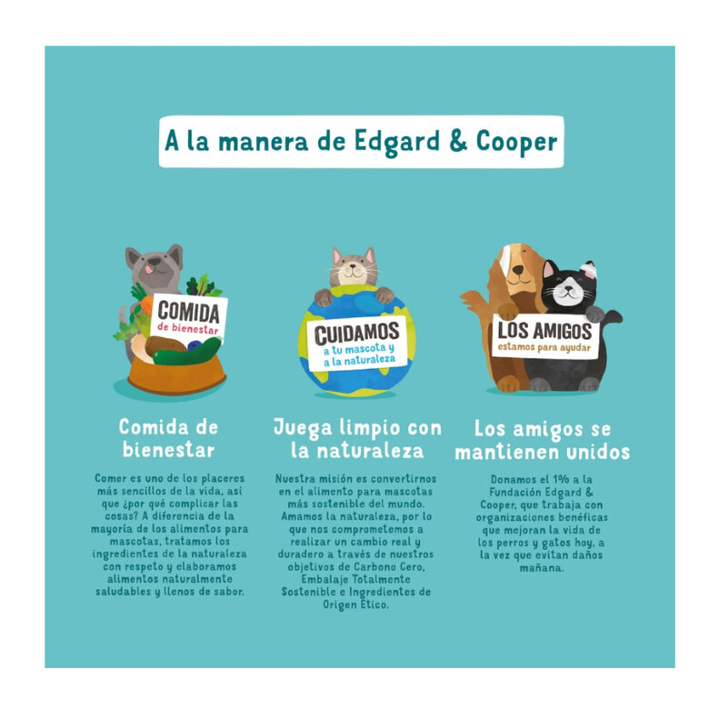 Edgard & Cooper Grain Free Salmón y Pavo lata para perros, , large image number null