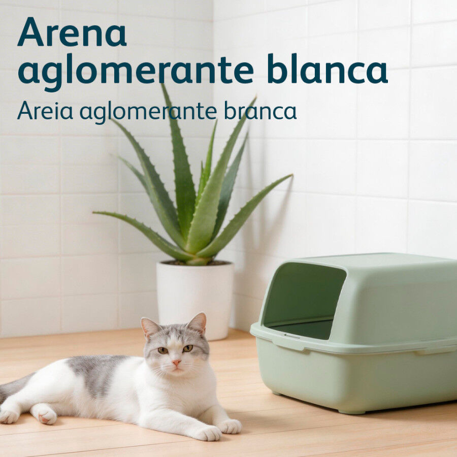 10 L Nova Clean Ultra Lecho Aglomerante para gatos, , large Imagen numero 6