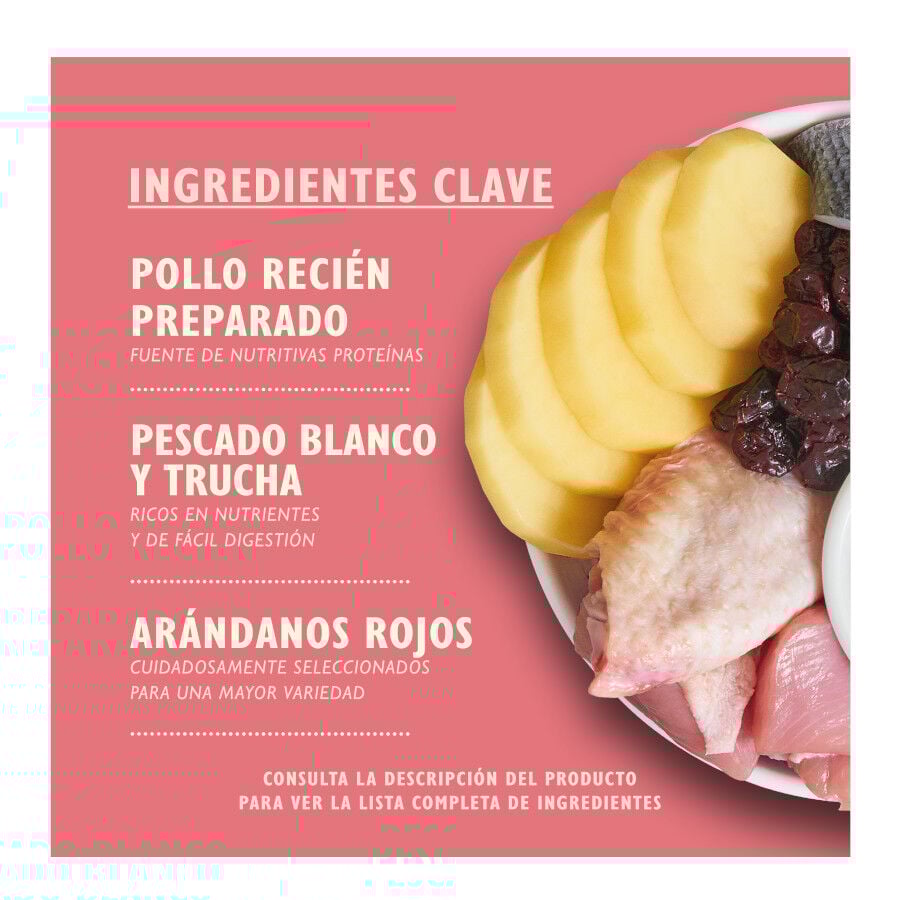 800 g Lily's Kitchen Kitten Pollo pienso para gatos, , large Imagen numero 2