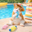 Summer Vibes Pack Muelles Juguete para gatos, , large indicador imagen numero 1