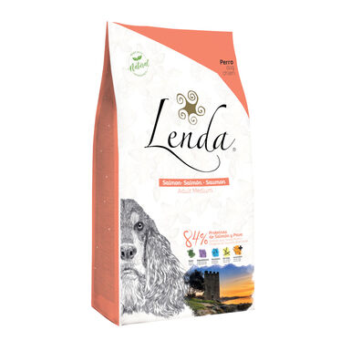 Lenda Original Salmón pienso para perros