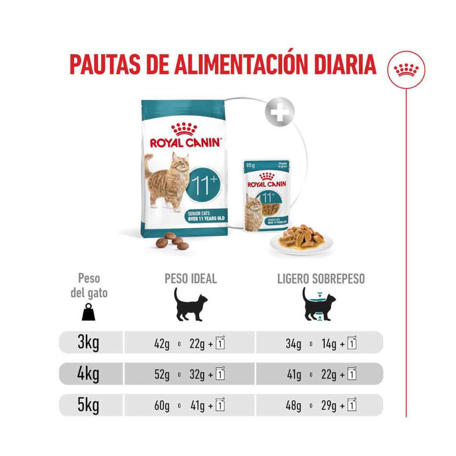 Royal Canin Ageing 11+ pienso para gatos thumbnail
