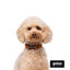 Gotoo Collar teddy marrón para perros, , large indicador imagen numero 3