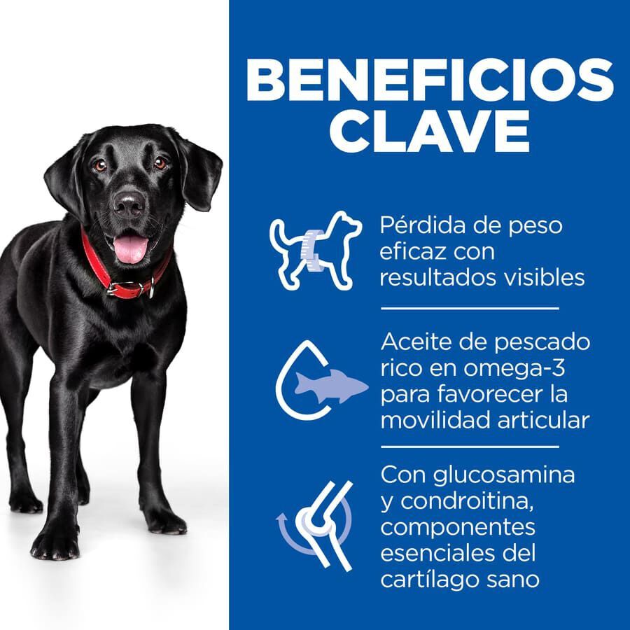 Hill&#039;s Science Plan Perfect weight y Active Mobility pollo pienso para perros grandes thumbnail