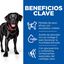 Hill's Science Plan Perfect weight & Active Mobility pollo pienso para perros grandes, , large indicador imagen numero 4
