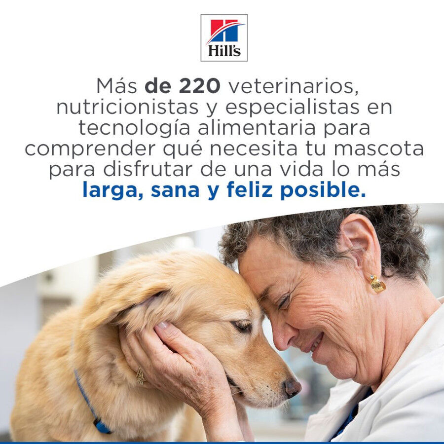 Hill&#039;s Science Plan Mature Adult Medium pienso pollo para perros de razas medianas thumbnail