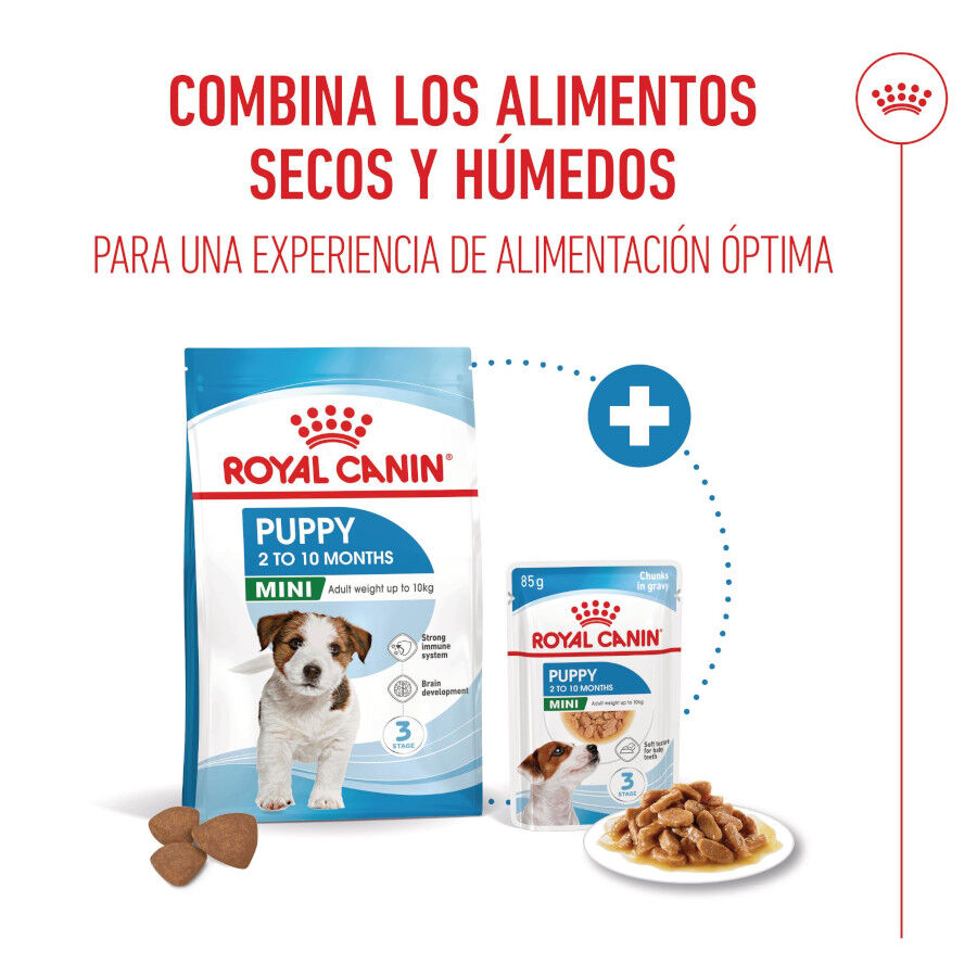 Royal Canin Mini Puppy sobre en salsa thumbnail