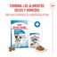 85 g Royal Canin Mini Puppy sobre en salsa, , large indicador imagen numero 5