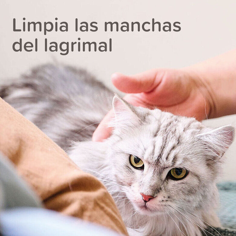 Beaphar Limpiador de Lagrimal para perros y gatos thumbnail