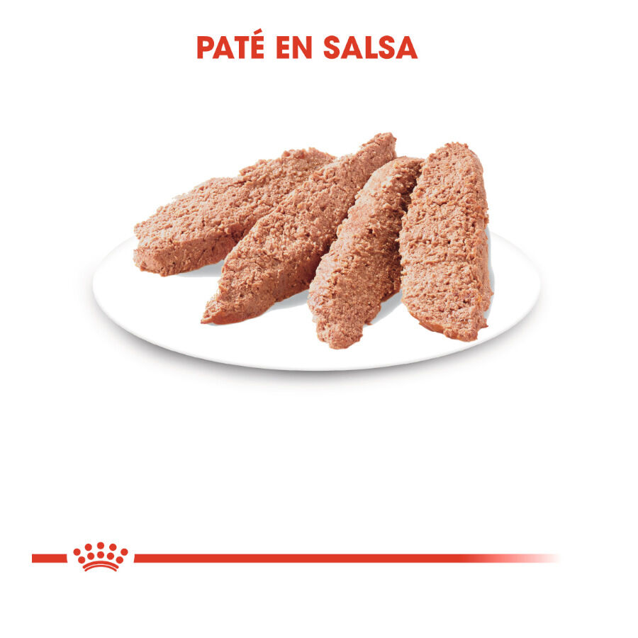 Royal Canin Sterilised Paté sobre para gatos thumbnail