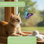 Tootoy! Mariposa Señuelo Interactiva para gatos, , large indicador imagen numero 7