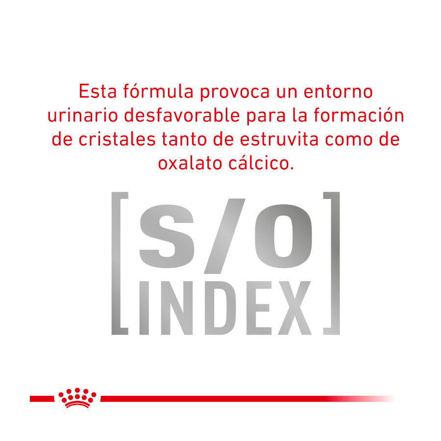 Royal Canin Veterinary Urinary pienso para gatos thumbnail