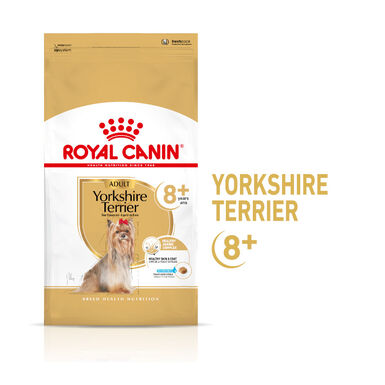 Royal Canin Adult 8+ Yorkshire pienso para perros