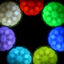 Nite Ize Glowstreak Disc-O LED Pelota para perros, , large indicador imagen numero 3