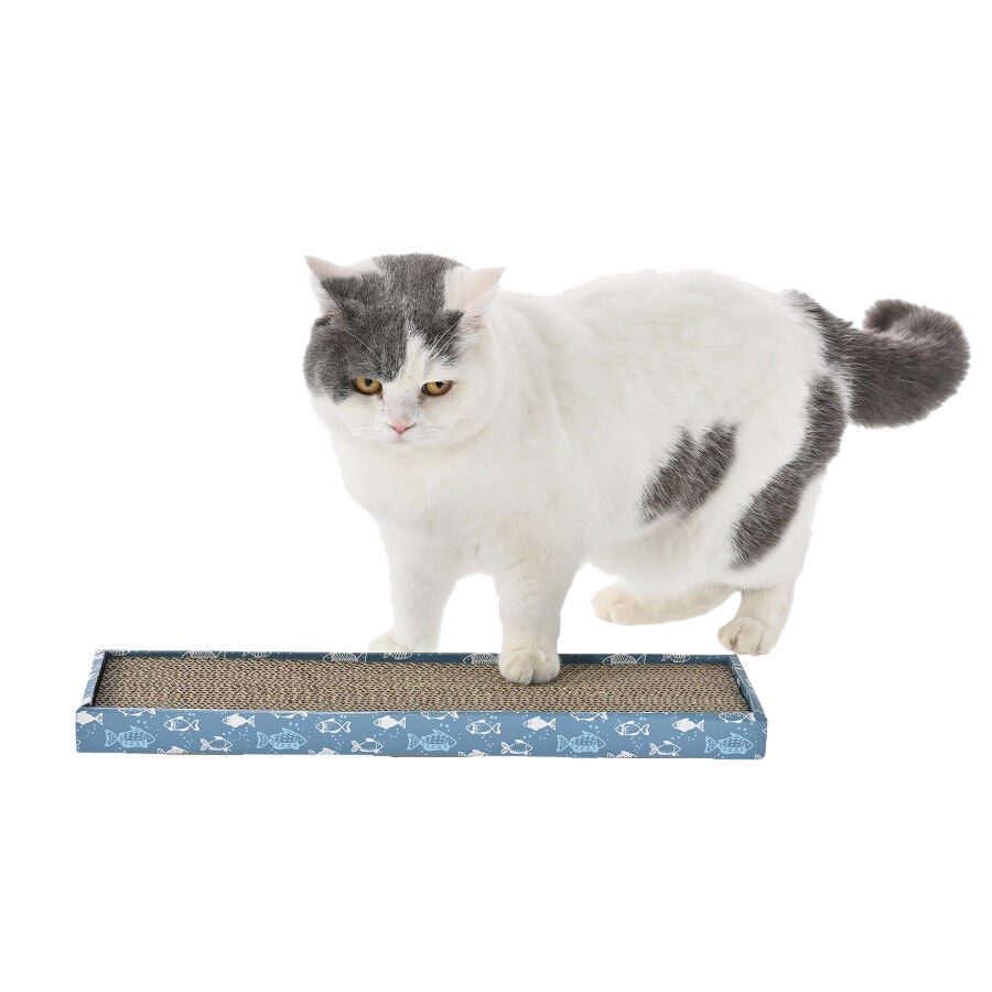 Leeby Fitz tabla rascador de cartón azul para gatos thumbnail