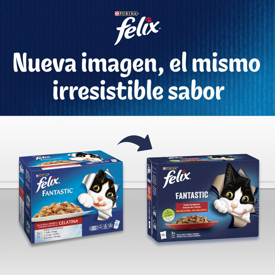 Felix Fantastic Carne en Gelatina sobre para gatos thumbnail