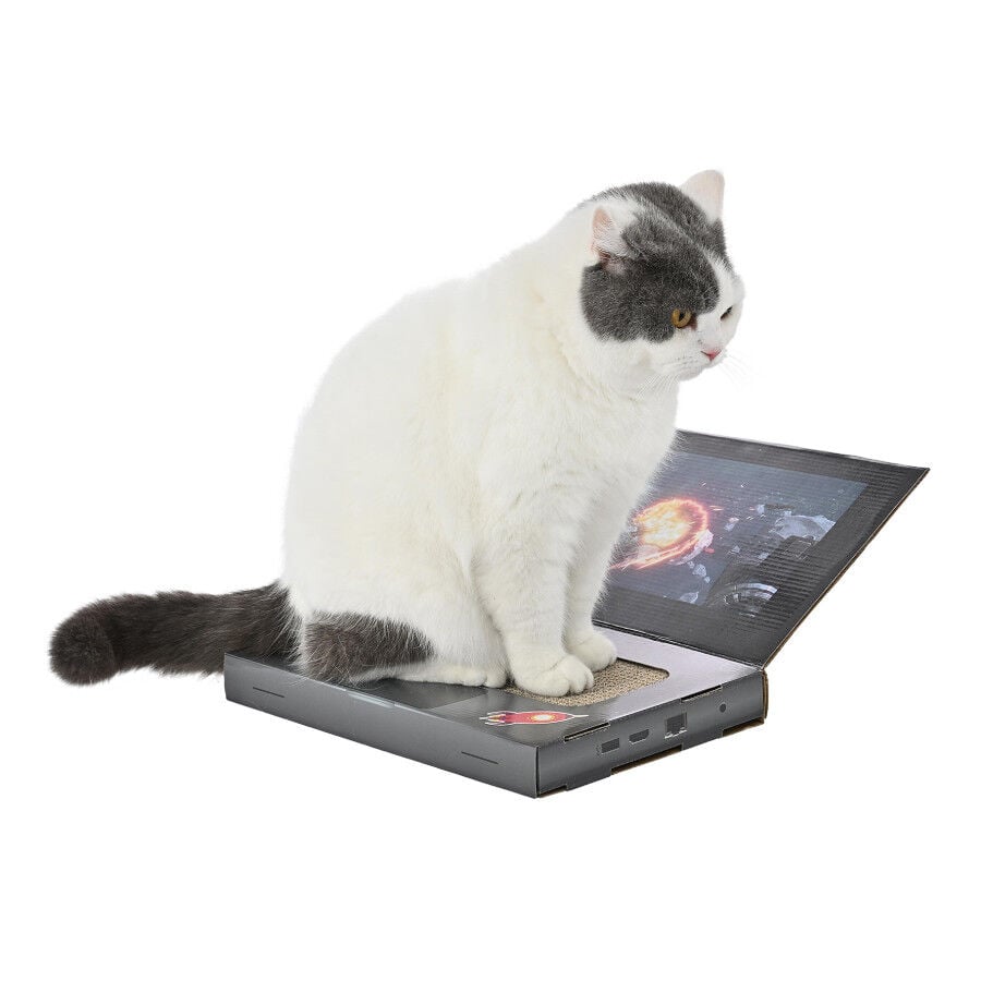 Leeby Lily rascador de cartón en forma de ordenador para gatos thumbnail