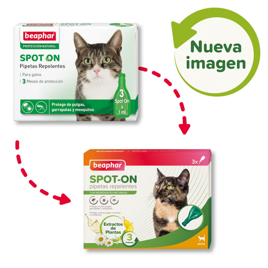 Beaphar Pipetas repelentes para gatos thumbnail