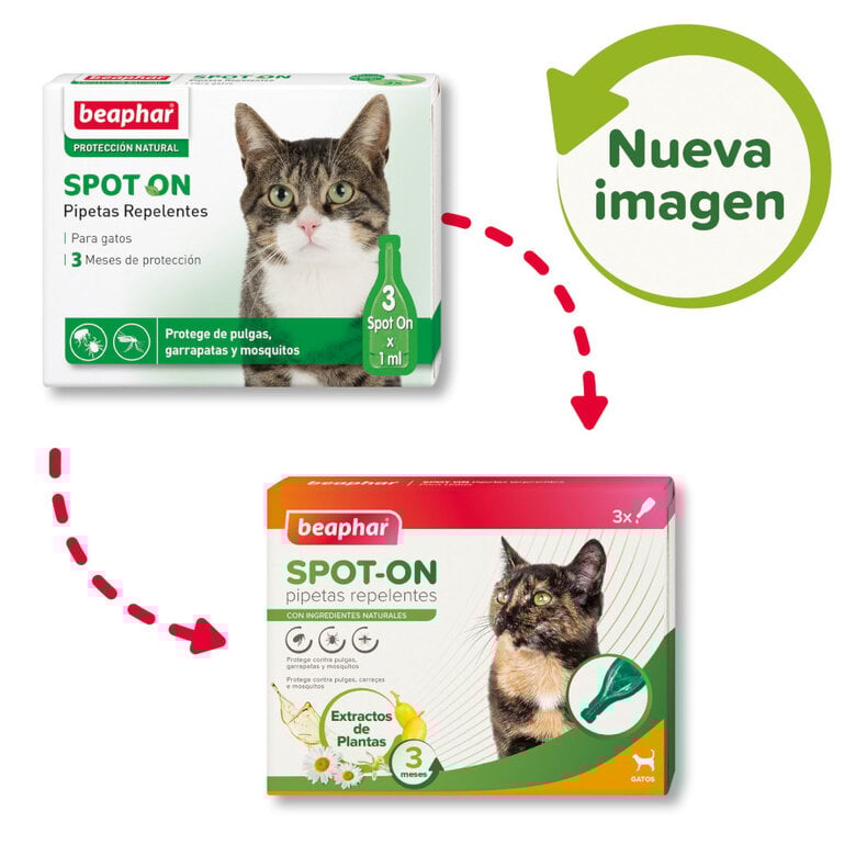 Beaphar Pipetas repelentes para gatos,  Imagen numero 2 Beaphar Pipetas repelentes para gatos, , large Imagen numero 2