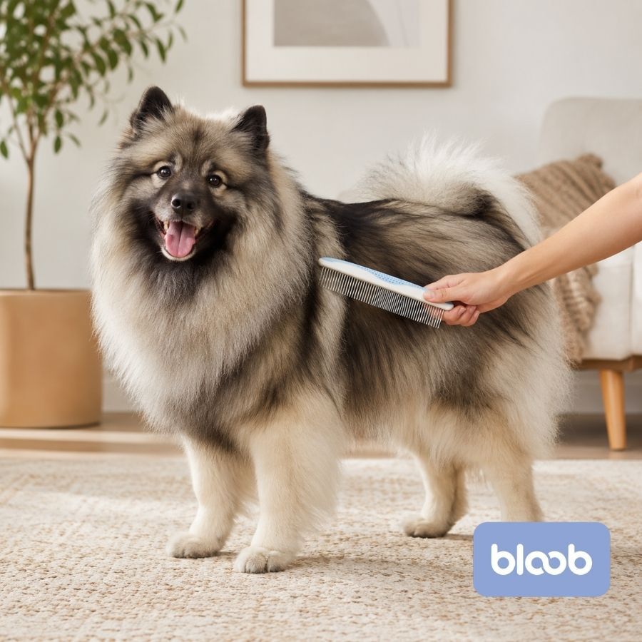Bloob Peine Doble Hilera para perros, , large Imagen numero 2