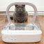Sure Petcare Surefeed Comedero Automático con Microchip, , large indicador imagen numero 7