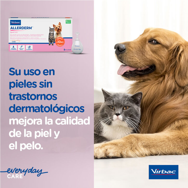 Virbac Allerderm spot on Pipetas dermatológicas para el cuidado de la piel Perros y Gatos. thumbnail