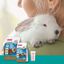 Beaphar Care + Junior Pienso para conejo junior, , large indicador imagen numero 4