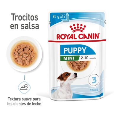 Royal Canin Mini Puppy sobre en salsa
