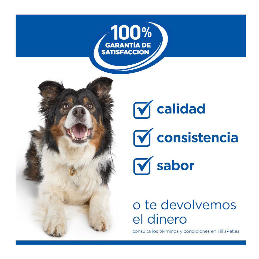 6 kg Hill's Science Plan Hipoalerg&eacute;nico Small y Mini Salm&oacute;n pienso para perros, , large Imagen numero 9